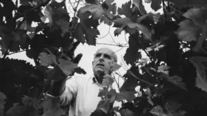 Lire la suite à propos de l’article Régis Lansade – Les chemins d&rsquo;orients