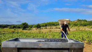 Lire la suite à propos de l’article Domaine Sibille – La présentation