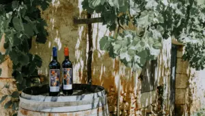 Lire la suite à propos de l’article Domaine le Martinat – La présentation